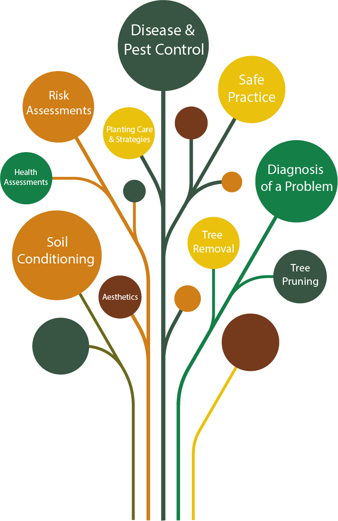 Maximum Tree Care - Tree of Services